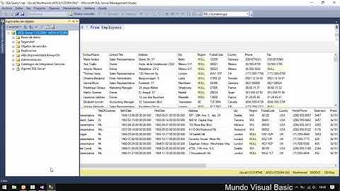 Utilizando DataSet | Mundo Visual Basic