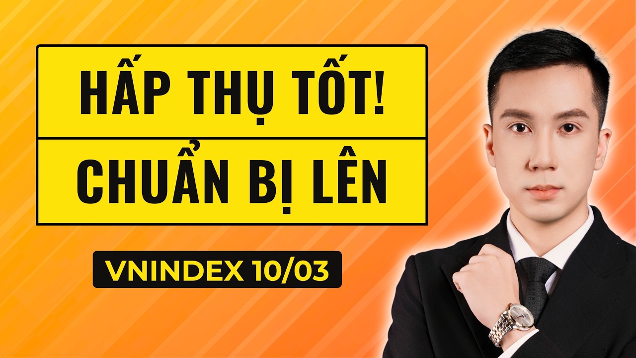 Sức Mua Lớn Đang Hấp Thụ Nhà Đầu Tư Bán Hoảng Loạn