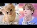 Normal peoples vs bts army  affectaed forever