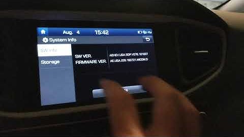 Hyundai Ioniq Engineering Mode (USA/CAN)