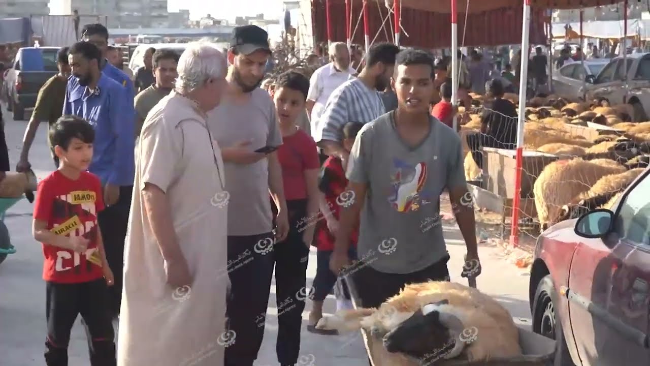 أسواق البيضاء تشهد ارتفاعا في أسعار الأضاحي LCNA