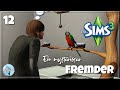 Wer ist dieser Mann und was will er? 🤨| Sims 3 Let´s Play Folge 12 | LillyPut