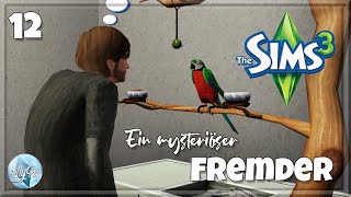 Wer ist dieser Mann und was will er ?| Sims 3 Let´s Play Folge 12 | LillyPut