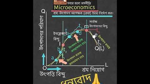 Microeconomics  - diagram of a short run production function