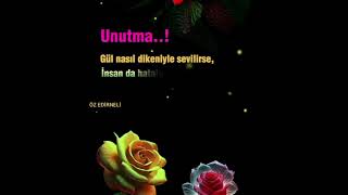 Hakki Bulut Kul Hatasiz Olmaz