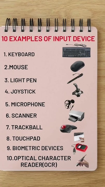 10 Examples of input Devices|input devices of computer - YouTube