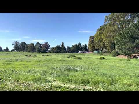Video Field grass blowing wind green screen zoom background... - youtube