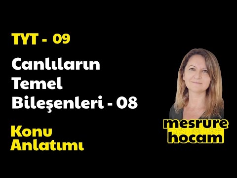 TYT Biyoloji 09 | Organik Bileşikler 04 - ENZİMLER| mesrure hocam #tytbiyoloji