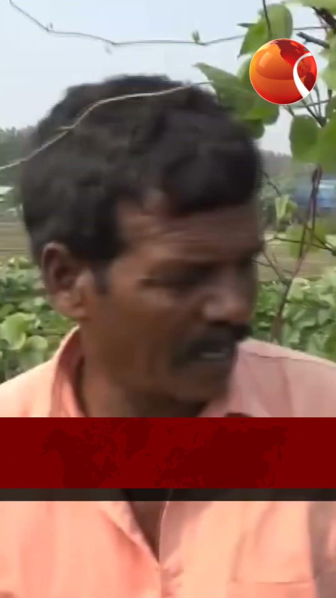 চট্টগ্রামে খালি জমিতে চাষ হচ্ছে শীতের সবজি | #Channel24 #news #vegetables