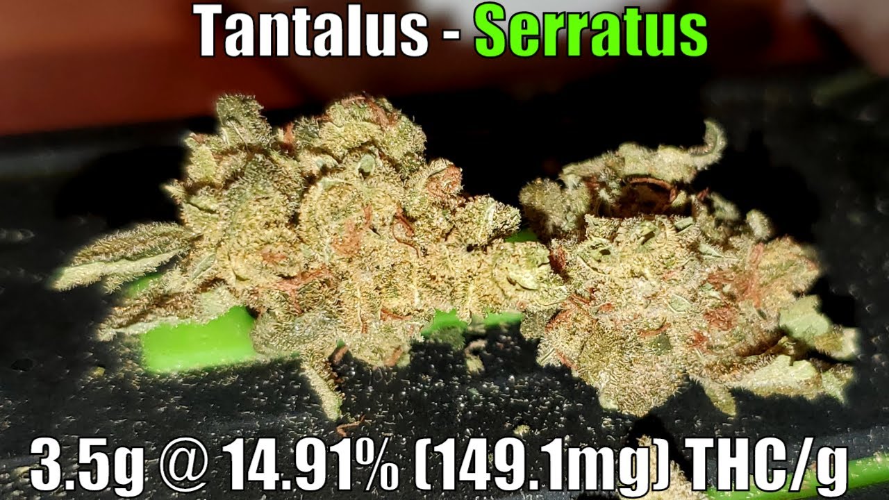 Tantalus - Serratus Unboxing Review - 3.5g @ 14.91% (149.1mg) THC/g (+Extreme Closeups)