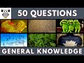General Knowledge Quiz Trivia #209 | Fungus, Gettysburg Address, Kermit, Algebra, Tea, White Lotus