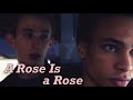 Quand on a 17 ans 2016 eng being 17  damien  tom  gay romance  a rose is a rose