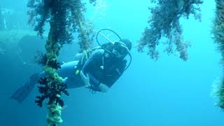 Visit Jordan: Diving in Jordan - The Adventure Awaits