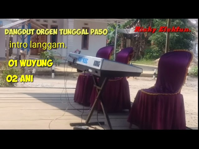 cover. ANI. orgen tunggal MANUAL class=