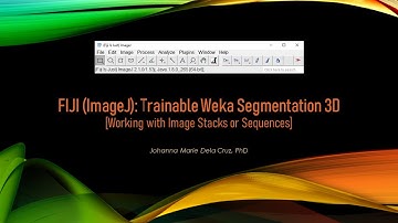 FIJI (ImageJ): Trainable Weka Segmentation 3D [Working with Image Stacks or Sequences]
