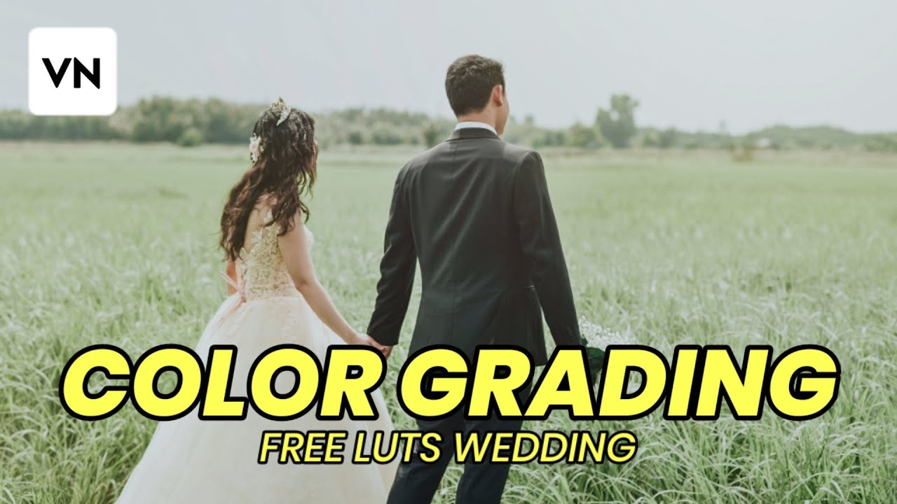 FREE LUTS WEDDING | COLOR GRADING DI APLIKASI VN ( VLOG NOW ) - YouTube