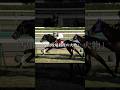 生涯現役。走り続けたあなたに最高の賛辞を。#ネヴァブション #競馬 #shorts
