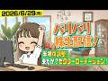 バリバリ株生配信！【2026/6/29】半導体調整！来たか！？セクターローテーション！！