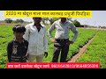 NETSURF BAYOFIT MUGAFALI RIJALAT PRABHUJI PIPALIYA KALAVAD DEVJIBHAI SAKHIYA