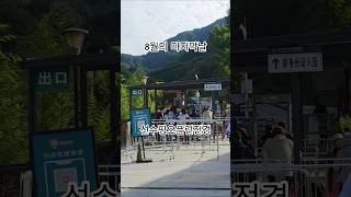 푸바오가 살고있는 선수핑오픈런전경 8월의 마지막날 8월 푸도 푸덕이님들도 고생많으셨어요🐼#푸바오 #푸바오실시간 #panda #fubao #福宝 #바오패밀리 #아이바오 #러바오