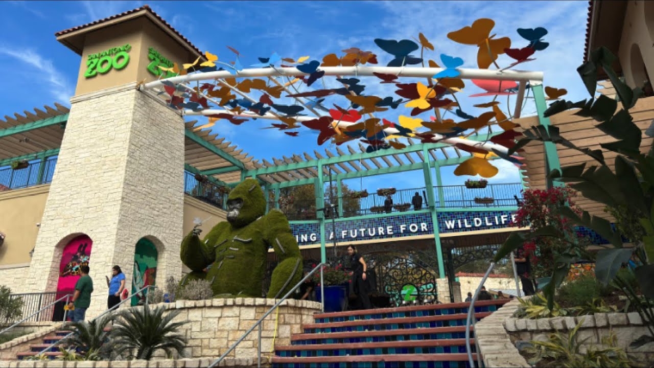 San Antonio Zoo to offer free admission for teachers and nurses - YouTube