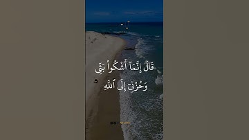 أكتب شيء تؤجر عليه ❤️ #أنس_الشهاب #quran #قران_كريم #سورة_يوسف