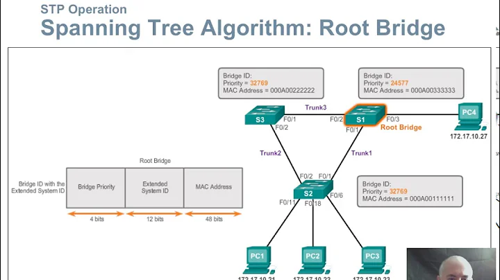 NTEC 223 Chapter 2 Lecture Video - LAN Redundancy