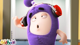 🎶 MÚSICA!!! 🎶 | Melhores Episódios de Oddbods Brasil! | Desenhos Animados Engraçadosem Português