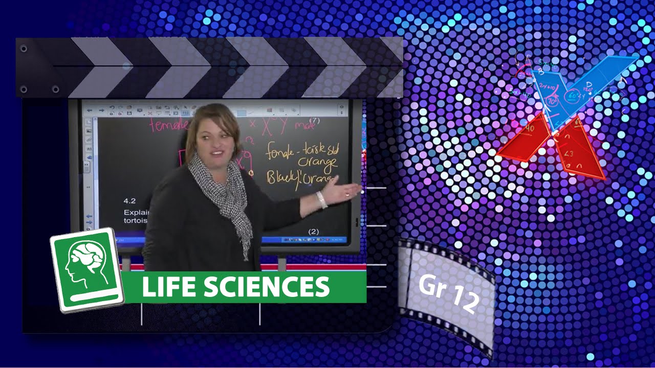 Life Sciences: June Exam Questions (Live)