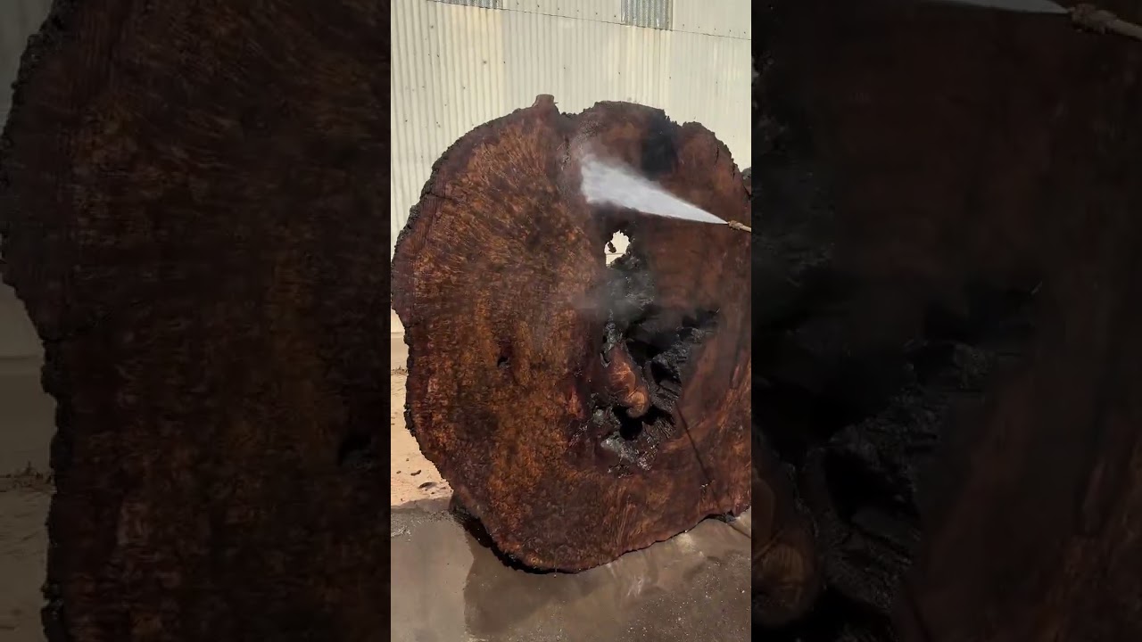 Walnut Burl Rounds 