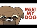 Meet My Dog - Animated