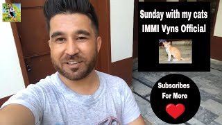 Sunday With My Cats Eva And Chutki Immi Vyns Official Imran Riaz Vlog 3