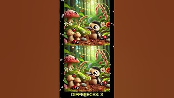 FIND THE 3 DIFFERENCE 21 I Quick-witted gameshow I