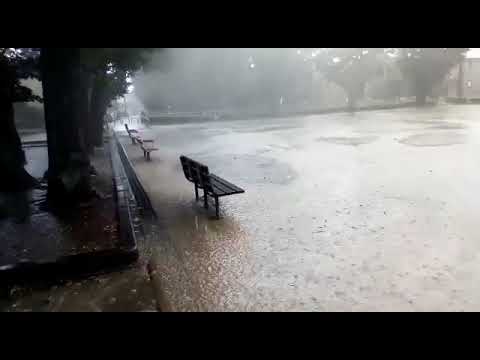 台風14号🌀接近‼️#ゲリラ豪雨💦突発的な大雨で公園が川状態に💦大宮:本郷第二公園さっきまで曇ってたのにいきなりどしゃ降り(22/09/19)