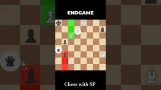 End Game #chess #scandinaviandefense #carokannopening #funny #siciliandefense #chessopening