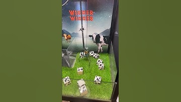 GIVING AWAY PRIZES ?? #arcade #mobilegaming #shortvideo  #clawmachine