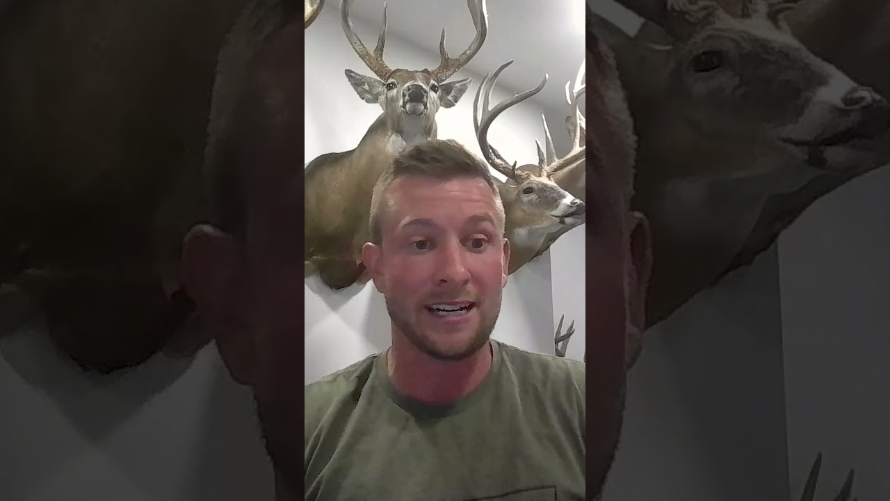 You should be manipulating deer movement
