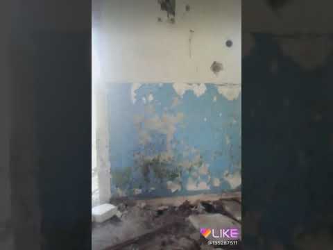 YouTube pfNT02mlIPc