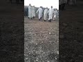 نجيب اوربعتو زغوطة نجيب اوربعتو زغوطة