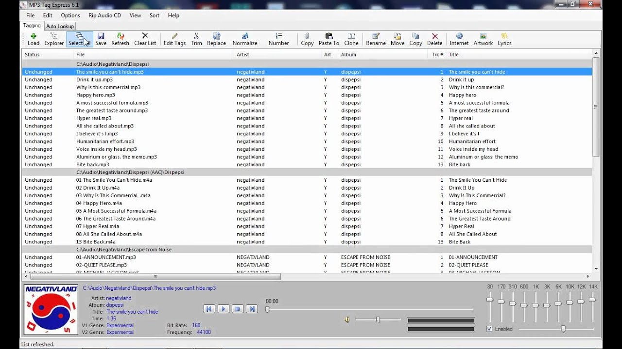 MP3 Tag Express Normalizing Text YouTube
