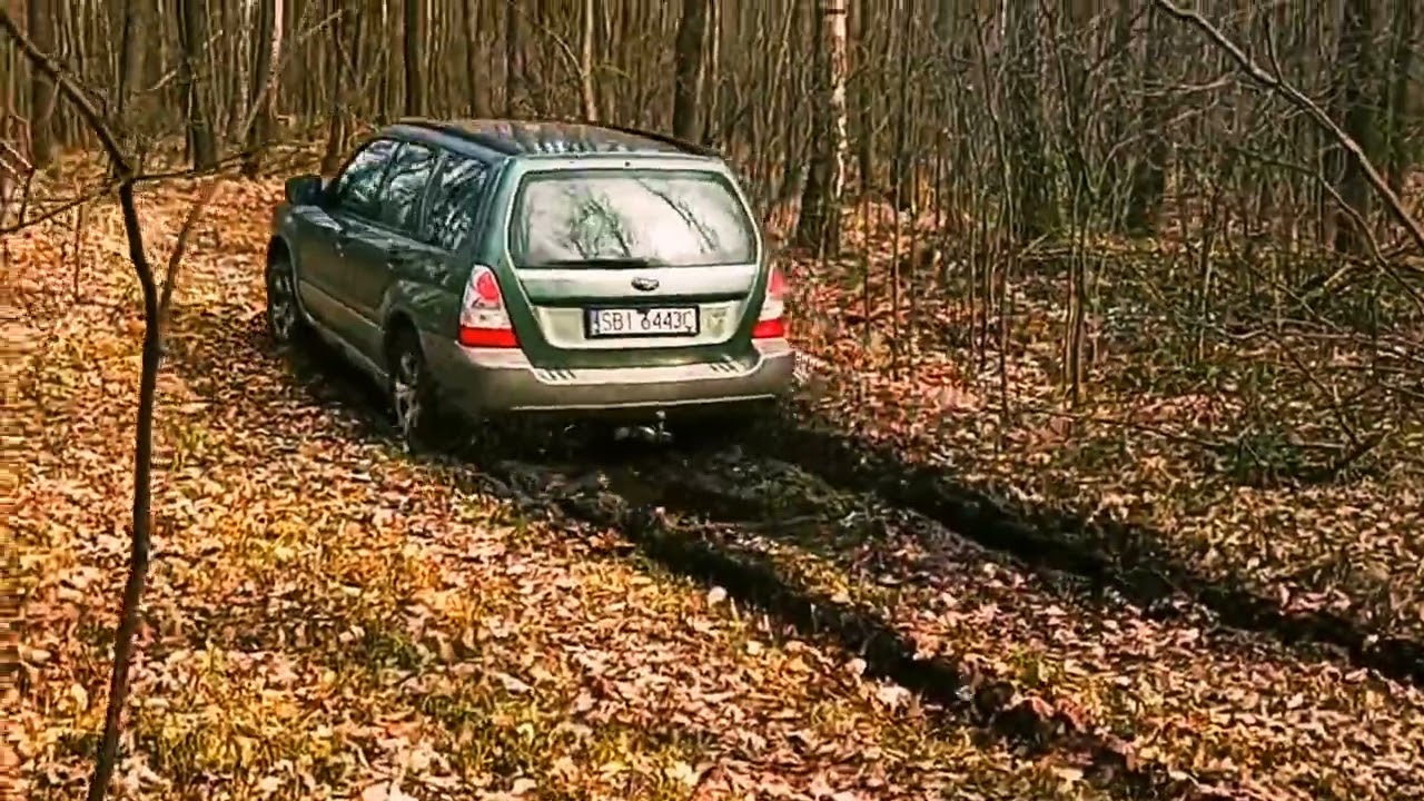 Subaru Forester SG w terenie/lekki off road/leśne przejażdżki