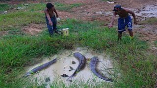 Waw! This Very Big Fish - Amazing Two Fishermen Finding Fishing In Canal When Dry Water
