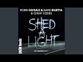 Robin Schulz David Guetta Cheat Codes Shed A Light DAEM Remix Official Audio mp3