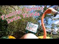 Flamingo Gardens - BOTANICAL GARDENS & EVERGLADES WILDLIFE SANCTUARY | DAVIE, FL