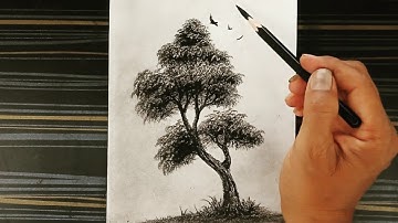How to draw a tree with pencil step by step.