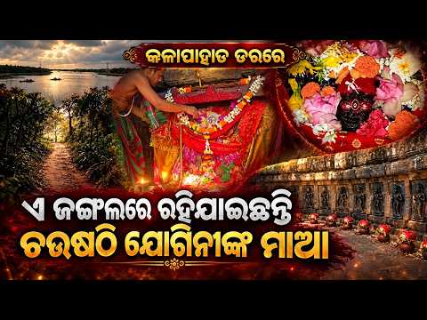 ଘଞ୍ଚ ଜଙ୍ଗଲରେ ଚୌଷଠି ଯୋଗିନାଙ୍କ ମାଆ ଆସିଲେ କେମିତି ଦେଖନ୍ତୁ ଭାଇରାଲ ହେଉଛି ଭିଡିଓ| Knews Odisha