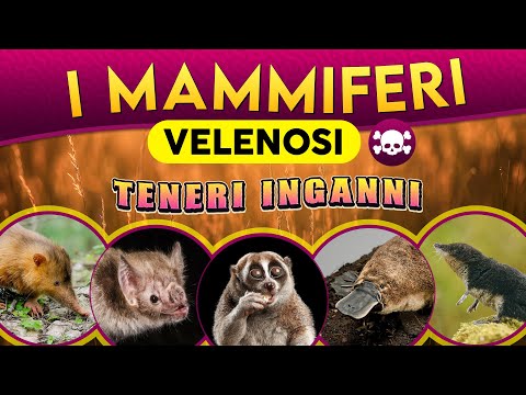 Poisonous Mammals: Tender Deceptions ► Episode 253