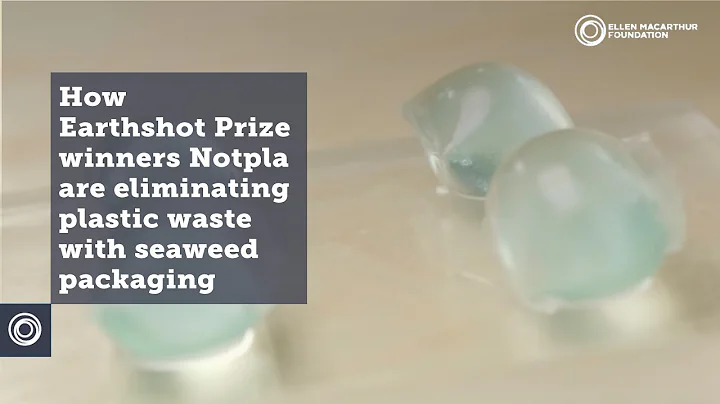 How Earthshot Prize winners Notpla are eliminating plastic waste with seaweed packaging