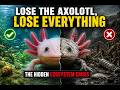 Lose the Axolotl, Lose Everything: The Hidden Ecosystem Crisis