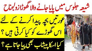Zuljanah Ki Tareekh Aur Haqeeqat